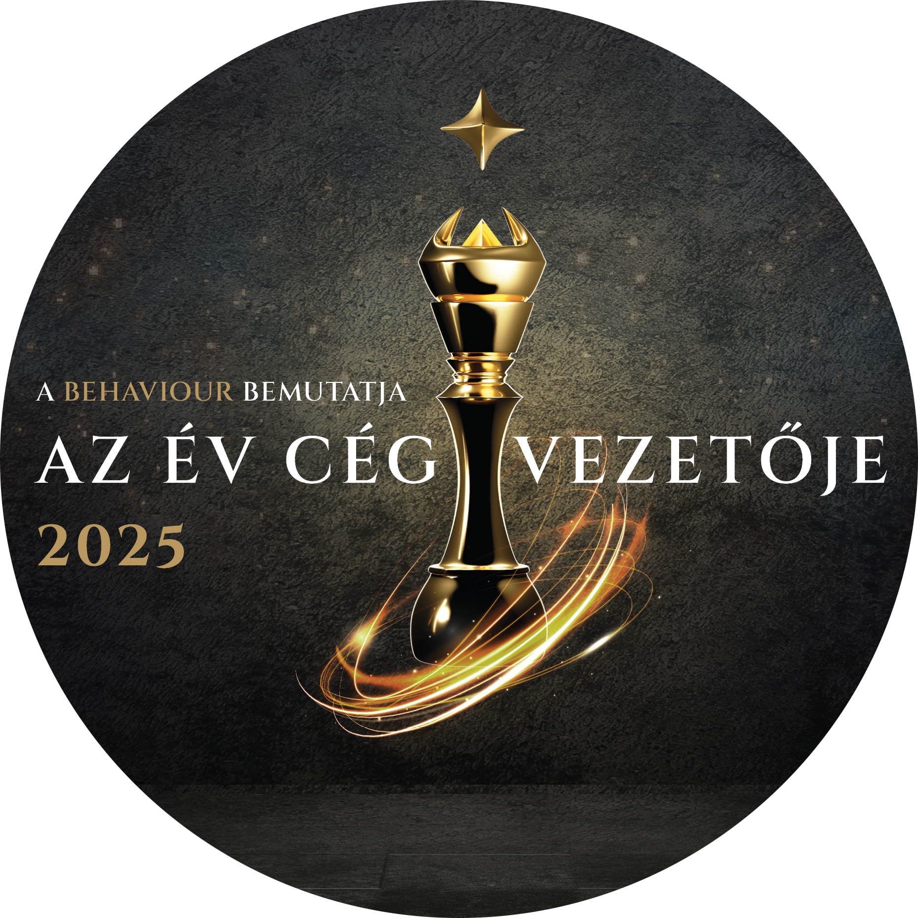 Az év cégvezetője díj